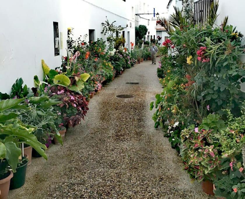 Corazon De Conil Leilighet Conil De La Frontera Eksteriør bilde
